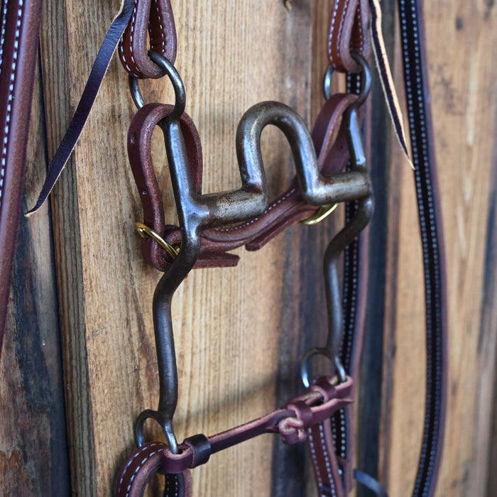 Daryl Davis Solid Port Bridle Rig w/All New Leather
