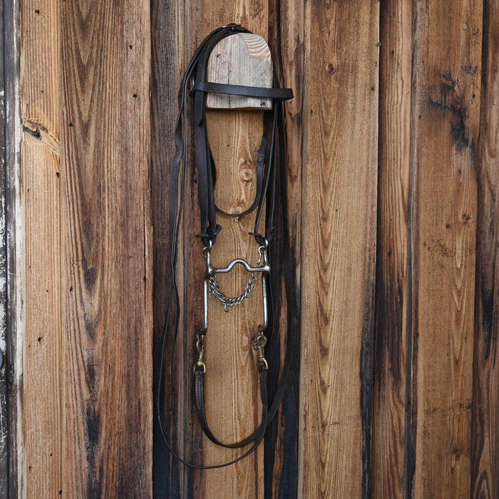 Vintage Bridle Rig w/Glass Rossettes