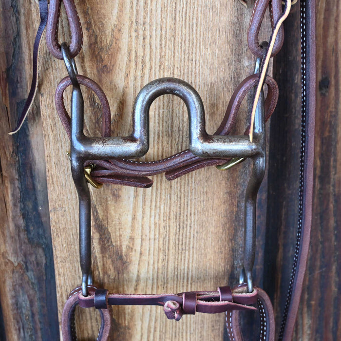 Daryl Davis Solid Port Bridle Rig w/All New Leather
