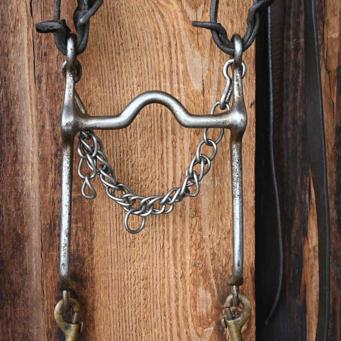 Vintage Bridle Rig w/Glass Rossettes
