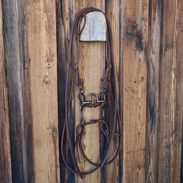 Daryl Davis Solid Port Bridle Rig w/All New Leather