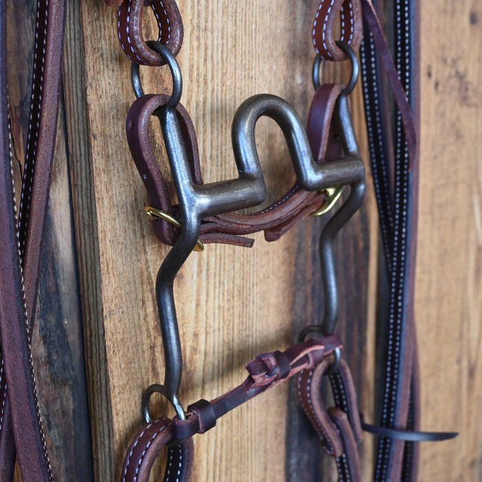 Daryl Davis Solid Port Bridle Rig w/All New Leather