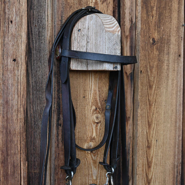 Vintage Bridle Rig w/Glass Rossettes