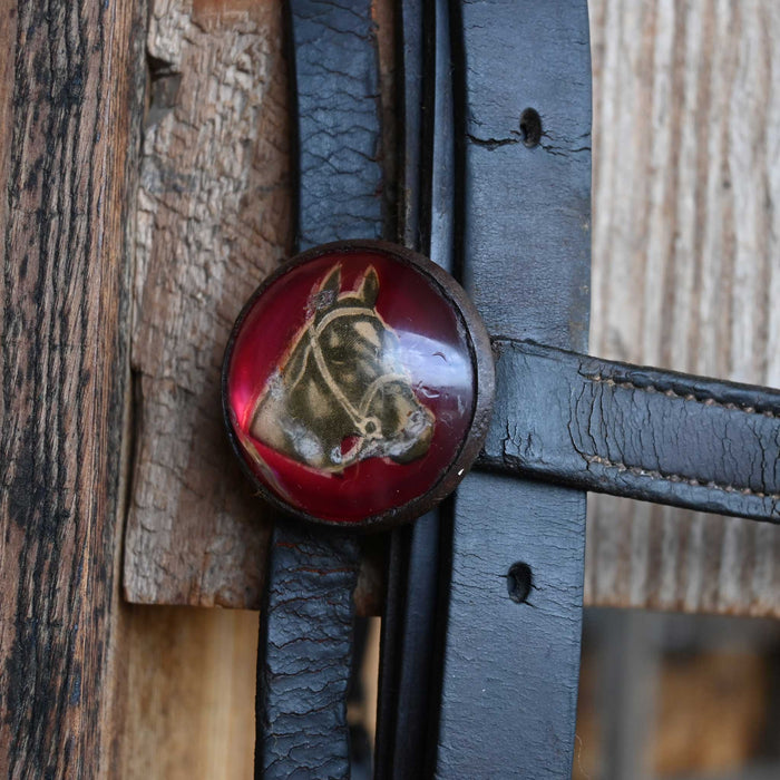Vintage Bridle Rig w/Glass Rossettes