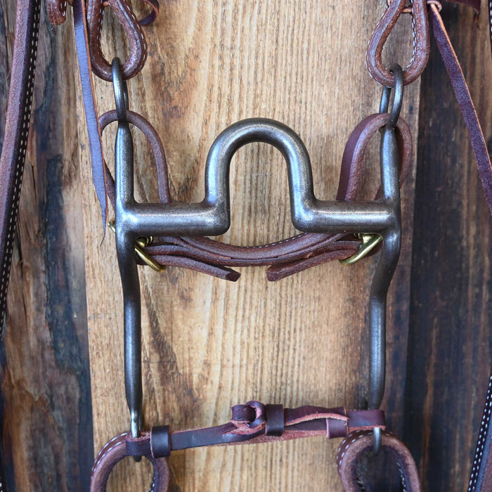 Daryl Davis Solid Port Bridle Rig w/All New Leather