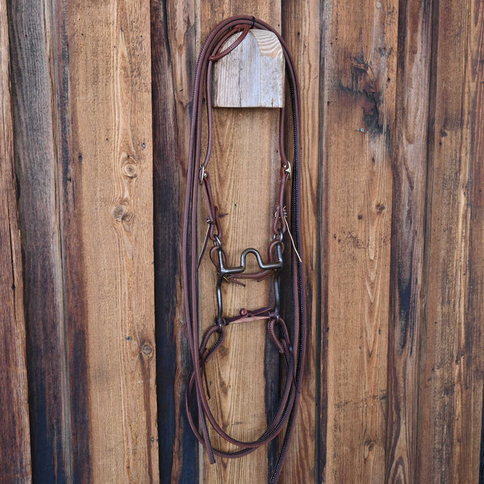 Daryl Davis Solid Port Bridle Rig w/All New Leather