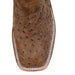 Anderson Bean Men's Square Toe Raisin WW Ostrich Chocolate Western Boot MEN - Footwear - Exotic Western Boots Anderson Bean Boot Co.