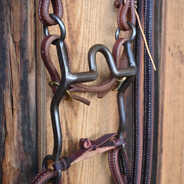 Daryl Davis Solid Port Bridle Rig w/All New Leather