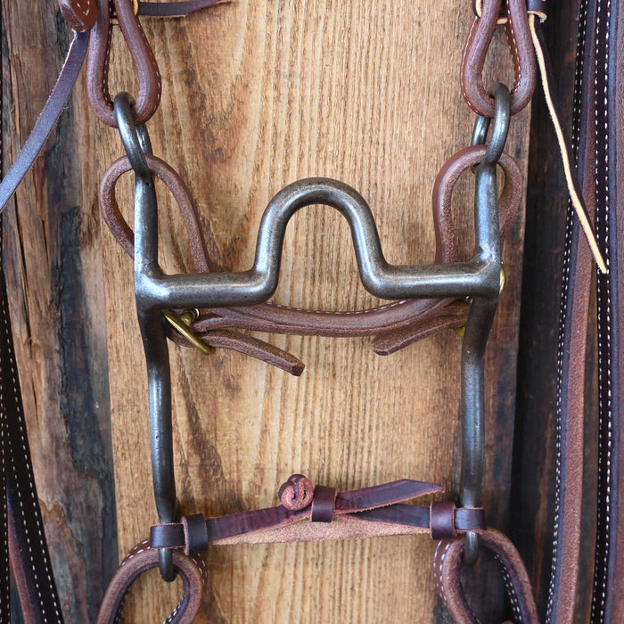 Daryl Davis Solid Port Bridle Rig w/All New Leather