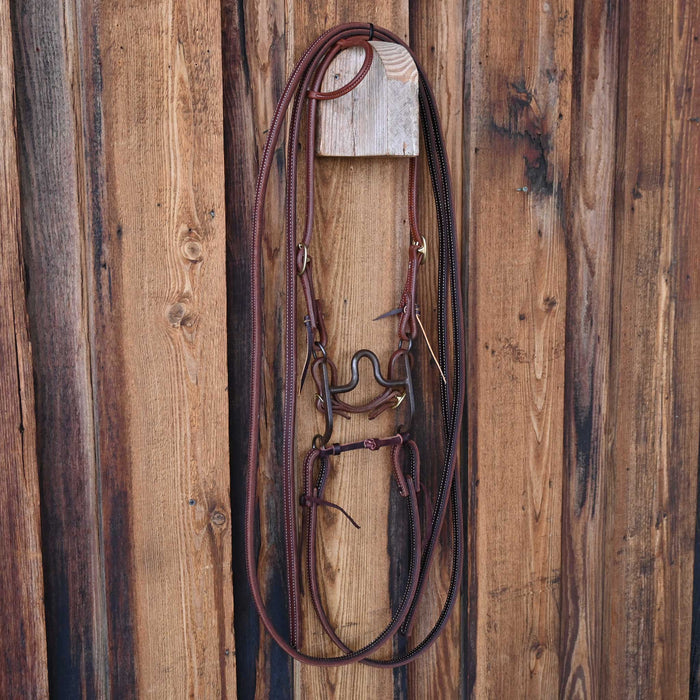 Daryl Davis Solid Port Bridle Rig w/All New Leather