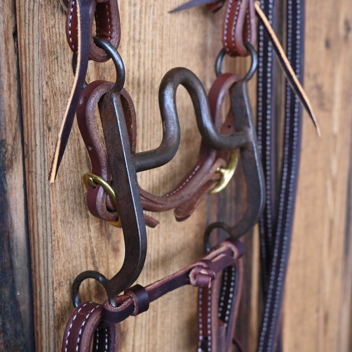 Daryl Davis Solid Port Bridle Rig w/All New Leather