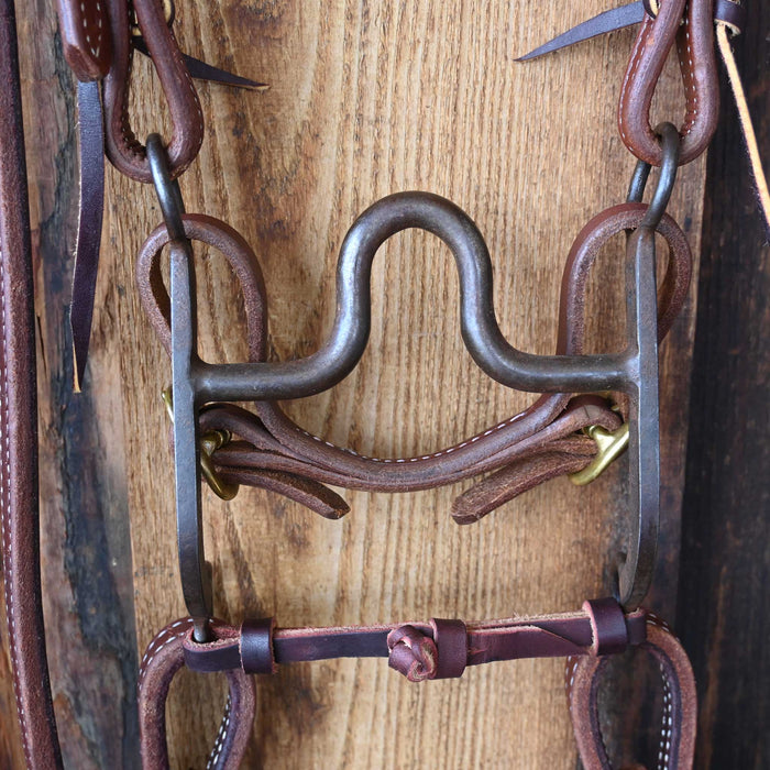 Daryl Davis Solid Port Bridle Rig w/All New Leather