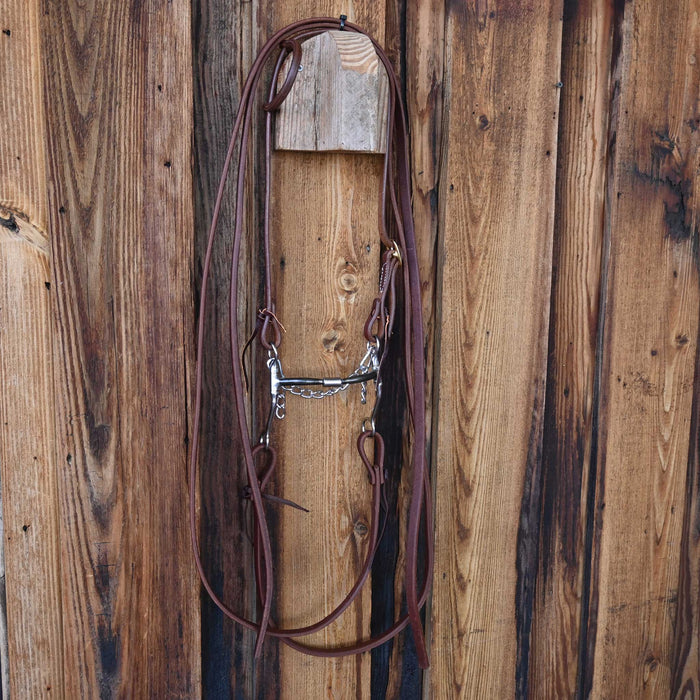 Reinsman Billy Allen Bridle Rig w/All New Leather Tack - Rigs Reinsman