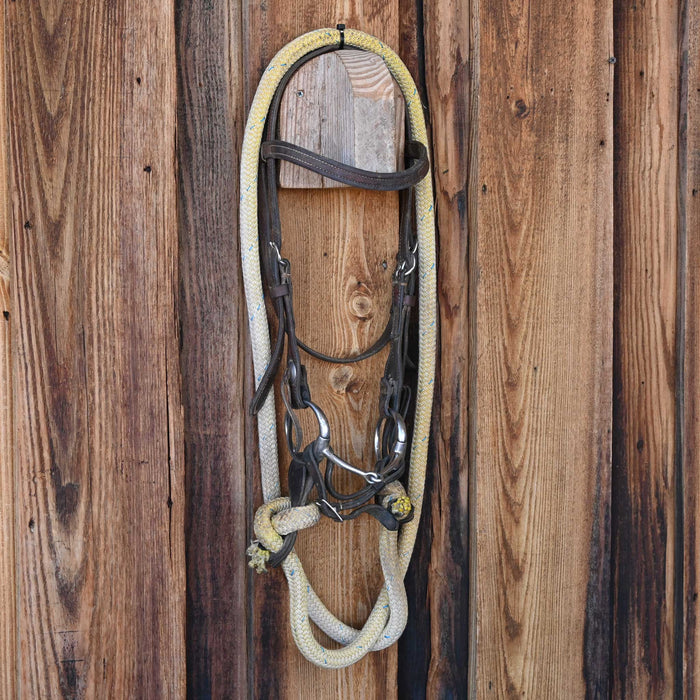 D-Ring Snaffle Bridle Rig w/Browband Headstall
