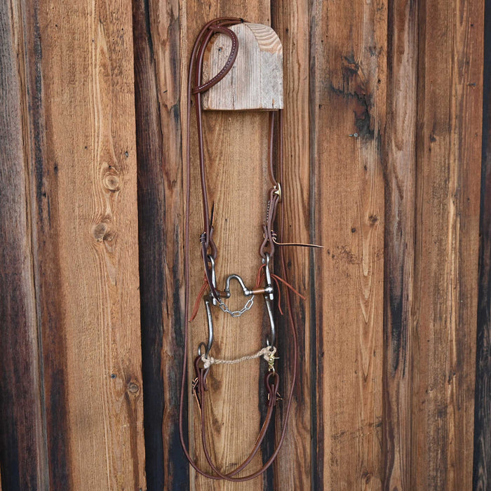 Kerry Kelley 7 A.D. Correction Bridle Rig w/All New Leather