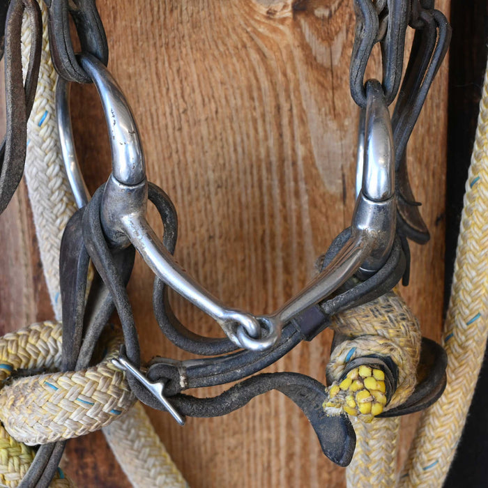 D-Ring Snaffle Bridle Rig w/Browband Headstall