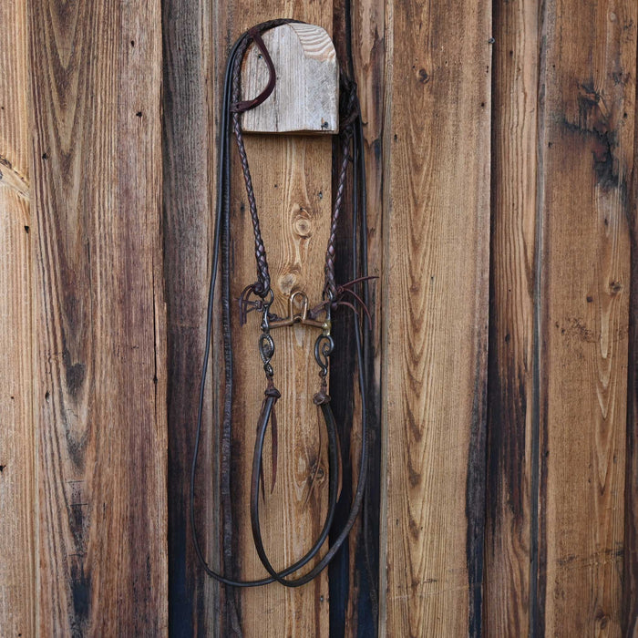Vintage Pony Bridle Rig