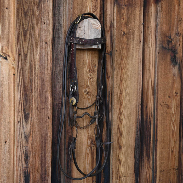 Vintage Spotted Bridle Rig w/Globe Bit
