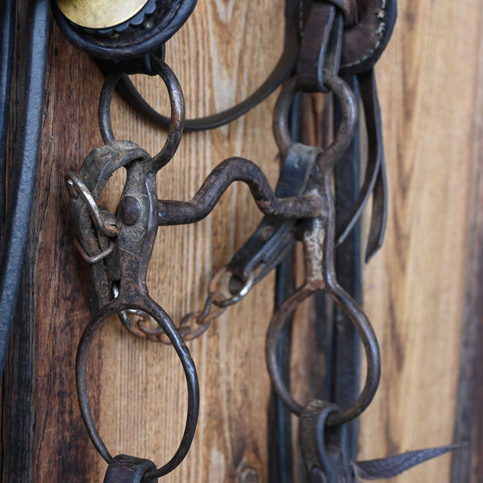 Vintage Spotted Bridle Rig w/Globe Bit