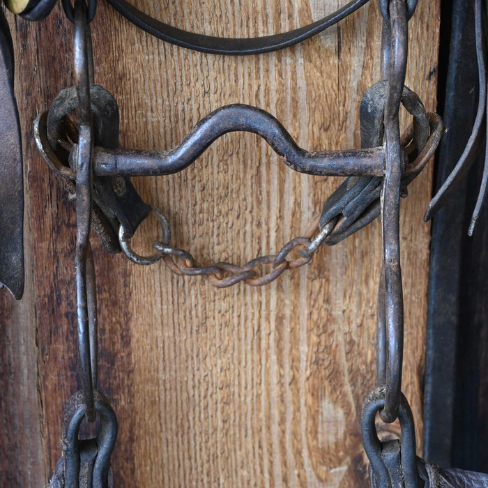 Vintage Spotted Bridle Rig w/Globe Bit