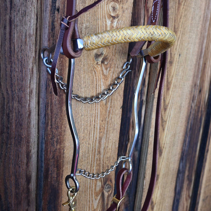 Sleister Hackamore Bridle Rig w/All New Leather Tack - Rigs Sleister