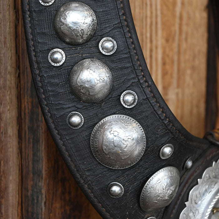 Vintage Pesos Breast Collar