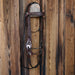 Vintage Bridle Rig Collectibles MISC