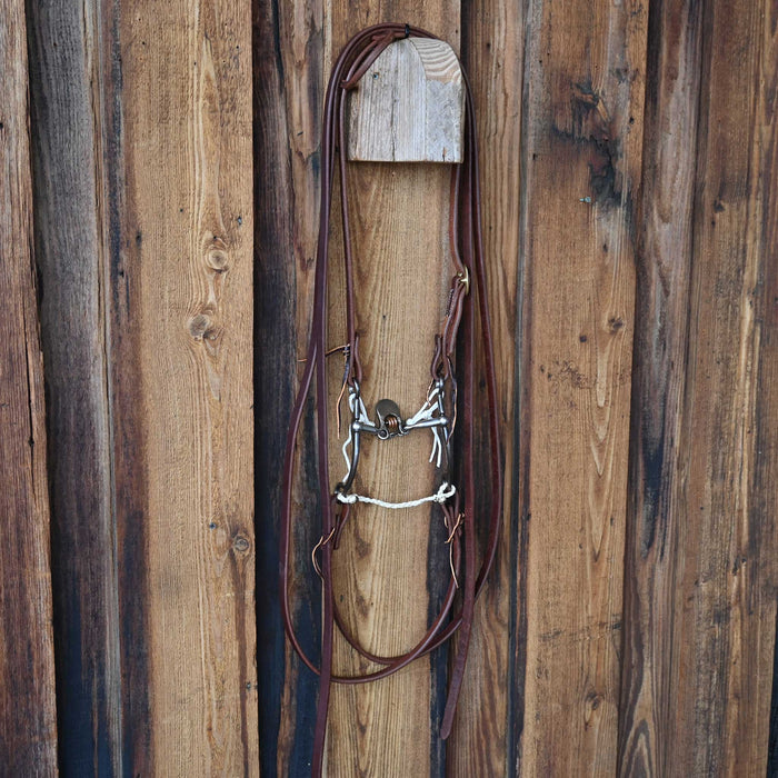 Kerry Kelley 65 Floating Spoon Bridle Rig w/All New Leather