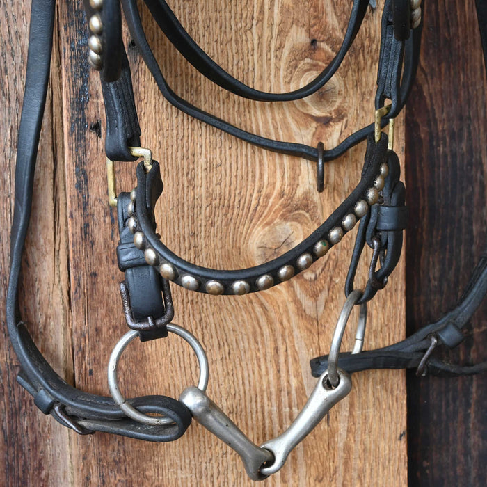 Vintage Driving Bridle w/Glass Rosettes