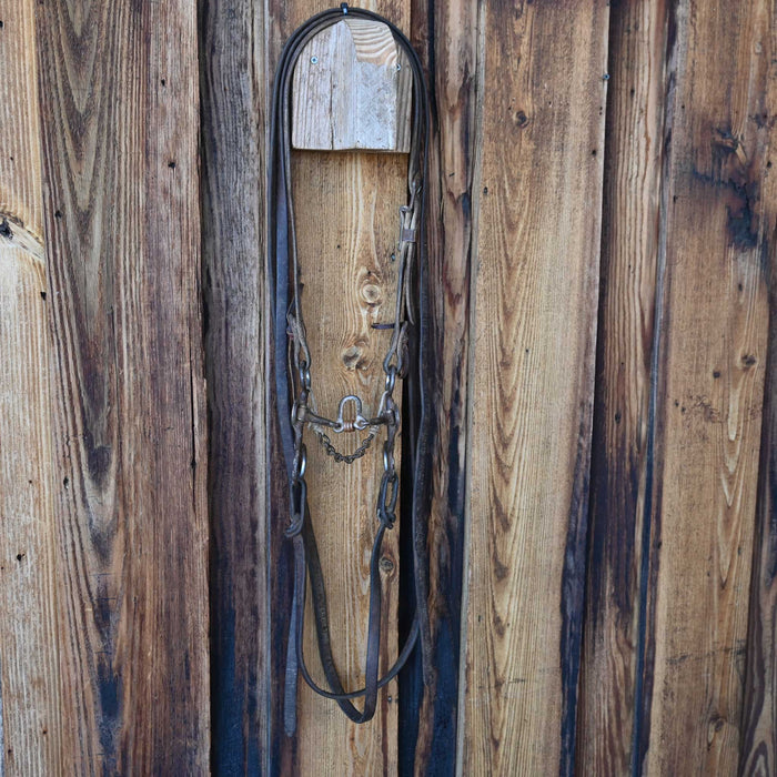 Mike Gillipsie Floating Port Bridle Rig w/Split Ear Headstall