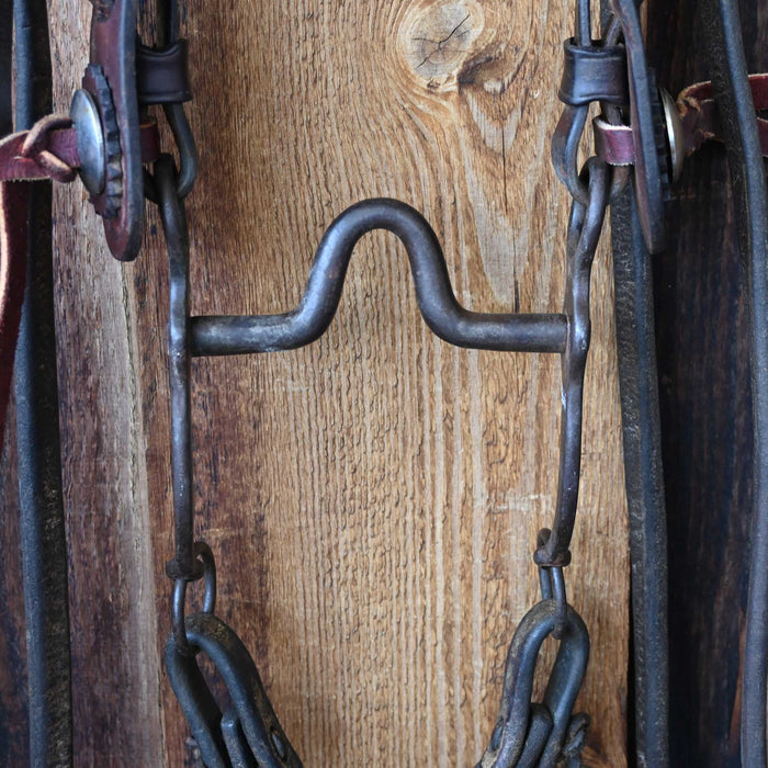 Vintage Floral Bridle Rig