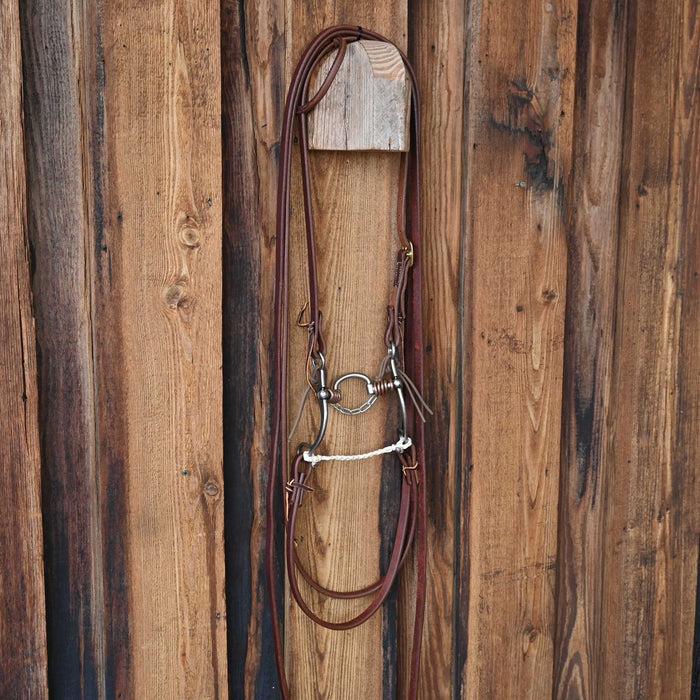 Kerry Kelley 65 Milkman Bridle Rig w/All New Leather