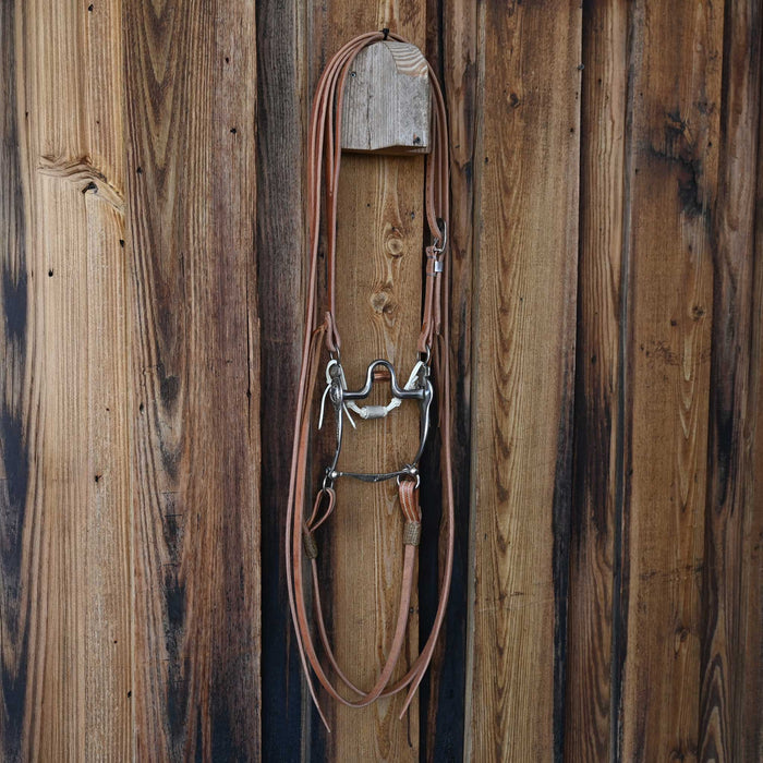 Cutrell Solid Port Bridle Rig w/Craig Lewis Leather