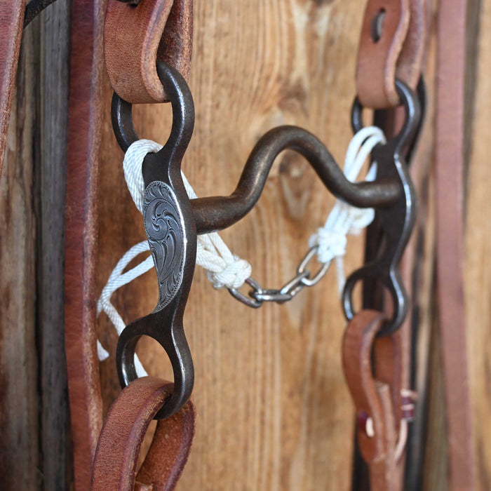 Daryl Davis Solid Port Bridle Rig w/All New Leather Tack - Rigs Daryl Davis