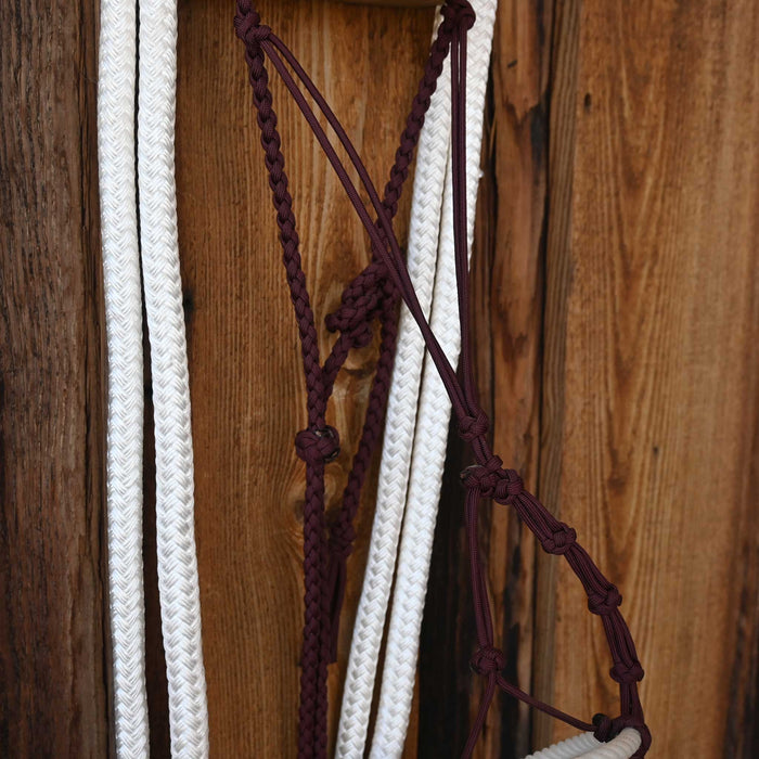 Loping Hack w/ Crowsfoot Headstall