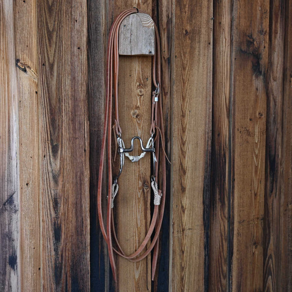 Headstalls & Rigs
