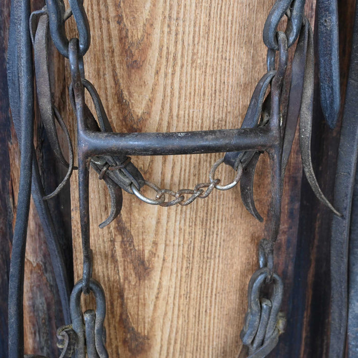 Boone Mullen Bridle Rig w/Split Ear Headstall