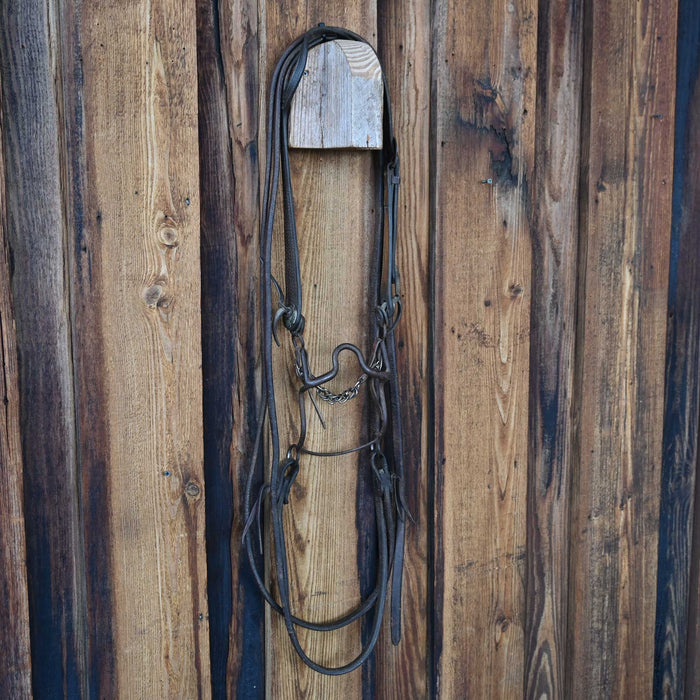 Daryl Davis Solid Port Bridle Rig w/Single Ear Headstall