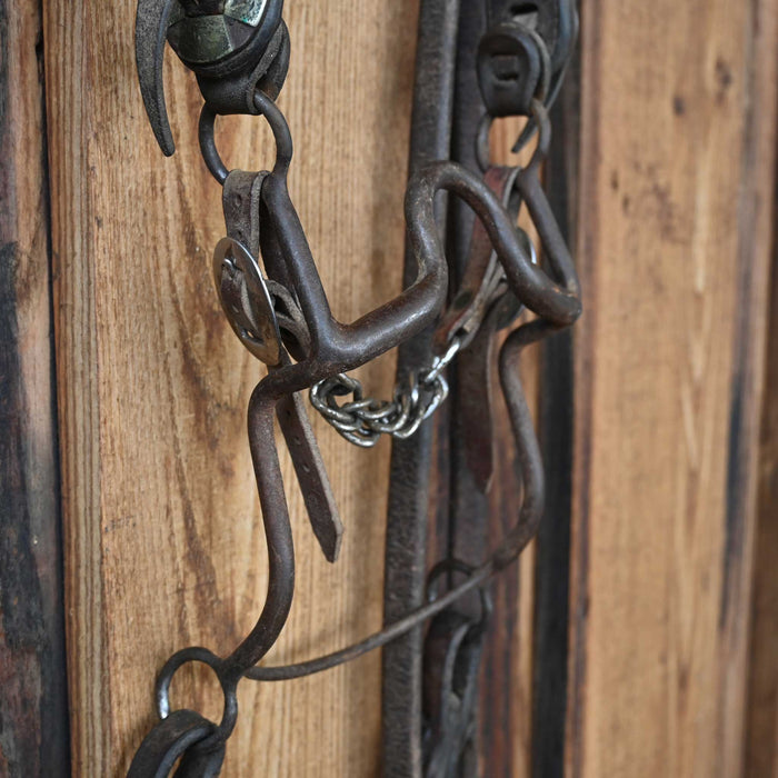 Daryl Davis Solid Port Bridle Rig w/Single Ear Headstall