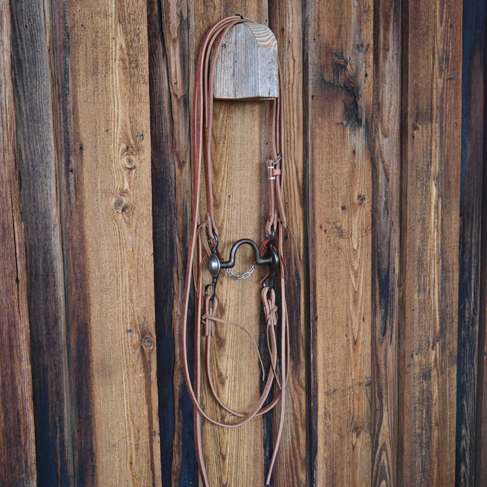 David Andrews Solid Port Bridle Rig w/Craig Lewis Leather