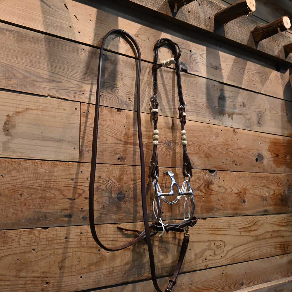 Bridle Rig with Correction Cathedral Bit  RIG243 Tack - Rigs MISC   
