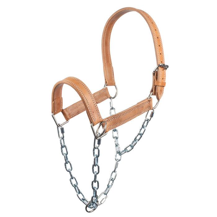 Teskey's Draw Chain Draft Halter Tack - Halters & Leads Teskey's
