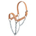 Teskey's Draw Chain Draft Halter Tack - Halters & Leads Teskey's