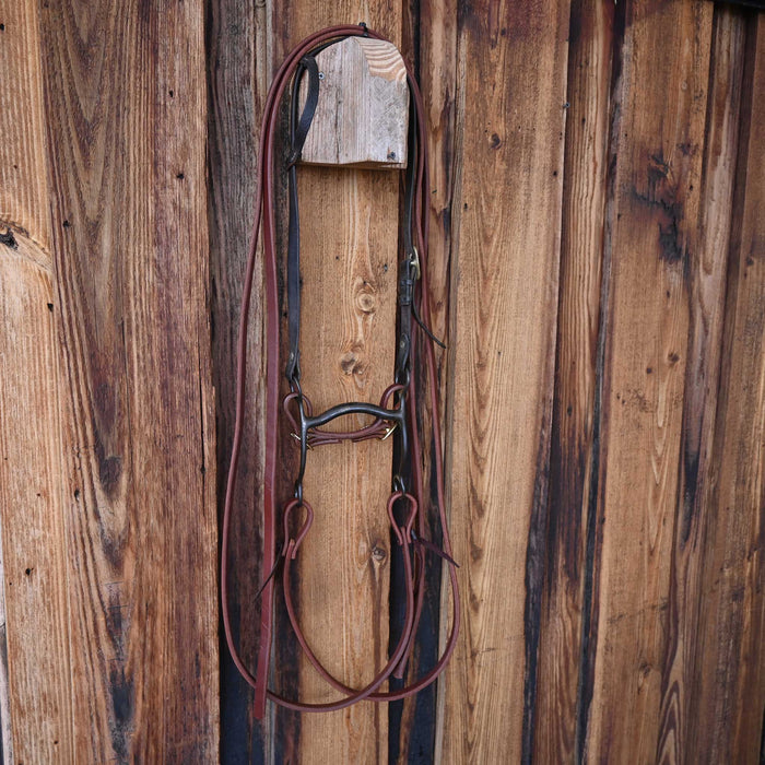 Boone Solid Port Bridle Rig w/Single Ear Headstall Tack - Rigs Boone