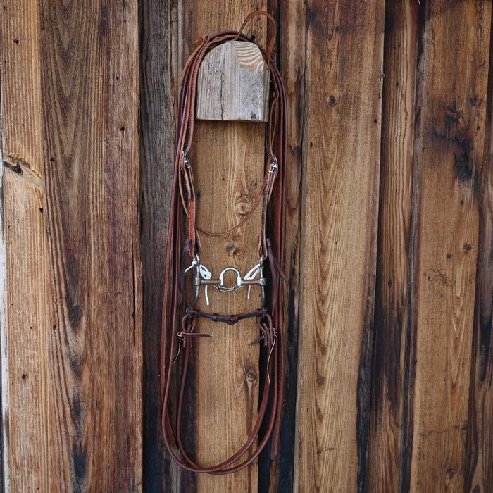 Josh Ownbey Correction Bridle Rig w/Split Ear Headstall Tack - Rigs Josh Ownbey