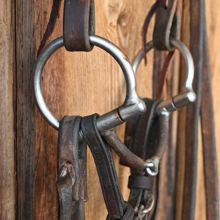 JD D-Ring Snaffle Bridle Rig w/Browband Headstall