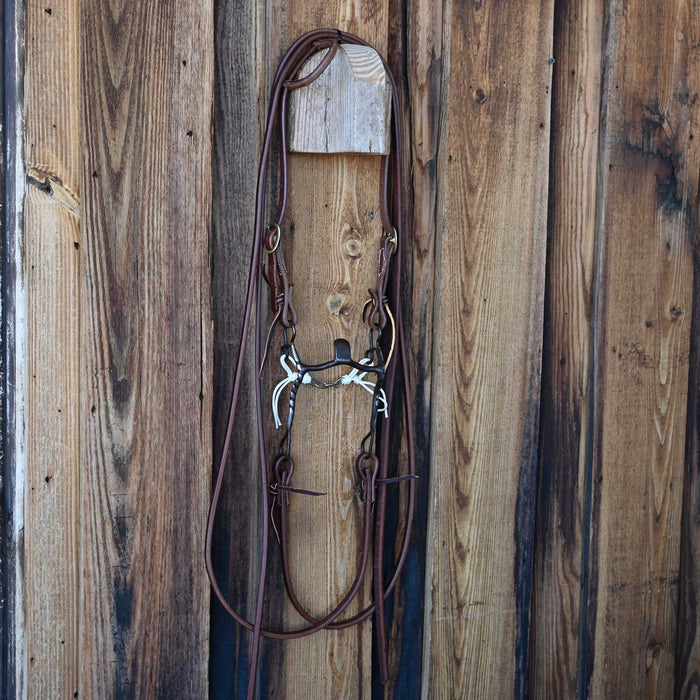 Solid Port Bridle Rig w/All New Leather