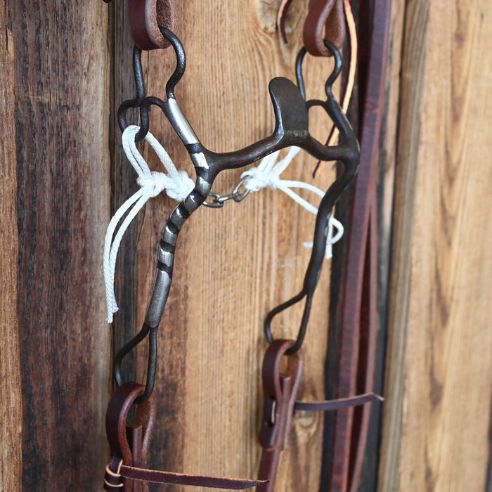 Solid Port Bridle Rig w/All New Leather