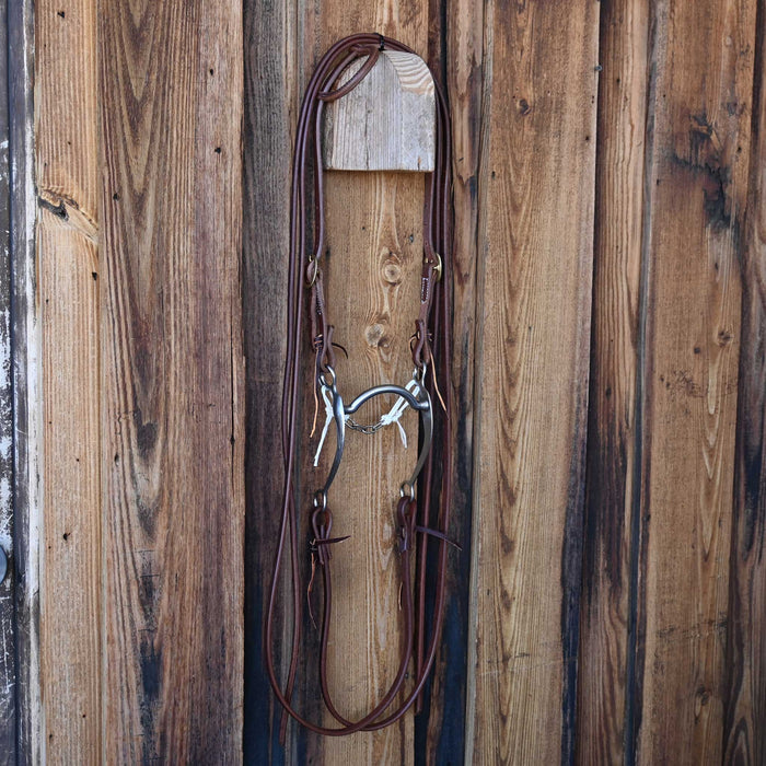 Roy Grazing Bridle Rig w/All New Leather