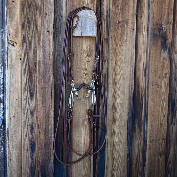 EJF Solid Port Bridle Rig w/All New Leather